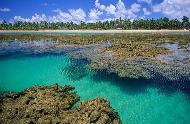 Отель Pousada Espaco Do Sagui - Taipu De Fora Барра-Гранди Экстерьер фото